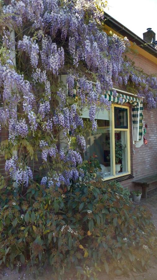 B&B De Vlinder Hardenberg Dış mekan fotoğraf