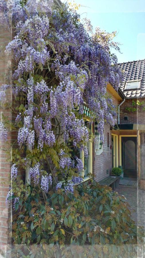 B&B De Vlinder Hardenberg Dış mekan fotoğraf