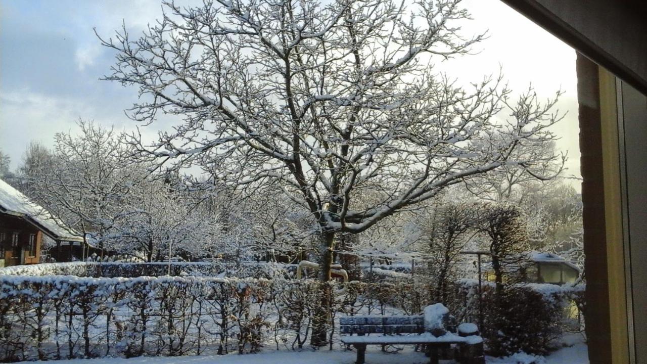B&B De Vlinder Hardenberg Dış mekan fotoğraf