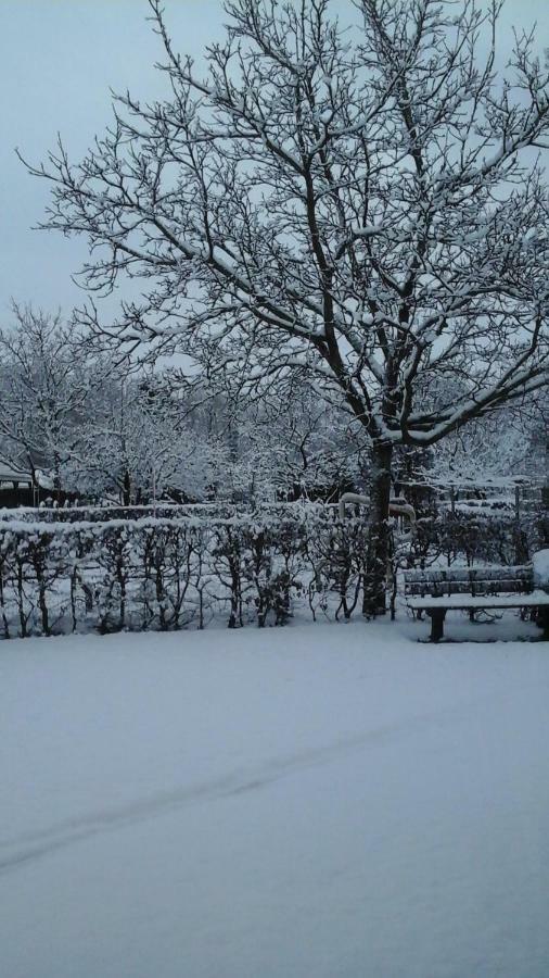 B&B De Vlinder Hardenberg Dış mekan fotoğraf
